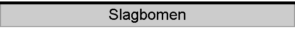 Slagbomen